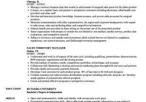 Territory Sales Manager Resume Template Sales Territory Manager Resume Samples Velvet Jobs