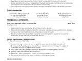 Territory Sales Manager Resume Template Territory Sales Manager Resume Annecarolynbird