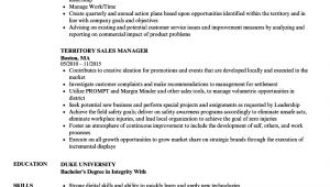 Territory Sales Manager Resume Template Territory Sales Manager Resume Resume Ideas