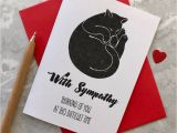Thank You and Sympathy Card Cat Loss Sympathy Card