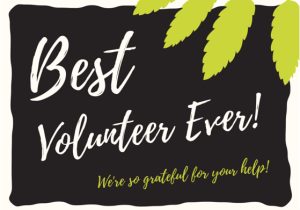 Thank You Volunteer Card Wording Volunteer Thank You Notes
