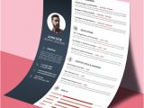 The Complete Job Interview Resume/linkedin &amp; Network Guide Free Download Ultimate Collection Of Free Professional Resume Templates
