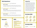 The Complete Job Interview Resume Linkedin &amp; Network Guide Ultimate Collection Of Free Professional Resume Templates