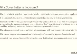 The Importance Of Cover Letters Importance Of Cover Letter