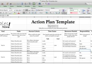 The Perfect Business Plan Template Perfect Business Action Plan Template Example In Excel