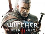 The Witcher 3 Win A Unique Card From Ermion the Witcher 3 Wild Hunt Prima Official Game Guide