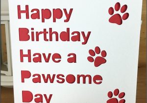 Things to Put In A Happy Birthday Card Birthday Card Pet Happy Birthday From the Pet to the Pet