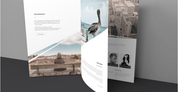 Three Page Brochure Template 15 Free Tri Fold Brochure Examples 2016 for Download