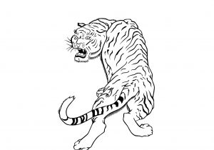 Tiger Tattoo Template Plain Outline Tiger Tattoo Design Tattooimages Biz