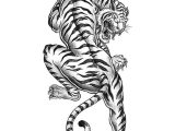 Tiger Tattoo Template Tiger Tattoo Coloring Page Favecrafts Com