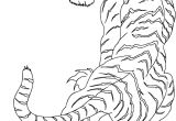 Tiger Tattoo Template Wild White Tiger Tattoo Tattoo Designs Ideas Gallery