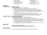 Tire Technician Resume Sample Lube Technician Resume Examples Created by Pros