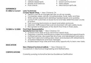 Tire Technician Resume Sample Lube Technician Resume Examples Created by Pros