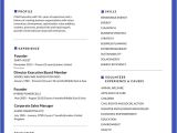 Top Resume Template 50 Most Professional Editable Resume Templates for Jobseekers