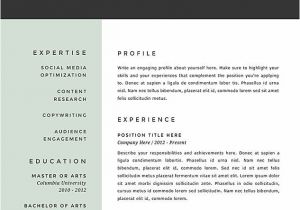 Top Resume Template Best Resume format 2017 Template Learnhowtoloseweight Net