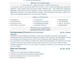 Top Resume Templates Free Best Resume Words Template Resume Builder
