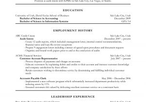 Tourism Student Resume Objectives Fresh Essays Resume Objective Examples Accounting
