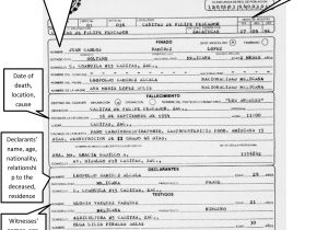 Translation Of Mexican Birth Certificate to English Template Best Photos Of Mexico Birth Certificate Template Mexican