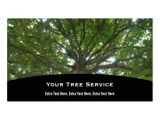 Tree Service Business Cards Templates 800 Tree Service Business Cards and Tree Service Business