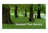 Tree Service Business Cards Templates Tree Trimmer Service Zazzle