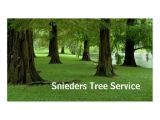 Tree Service Business Cards Templates Tree Trimmer Service Zazzle