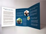 Tri Fold Brochure Template Indesign Free Download Tri Fold Brochure Template Indesign Free Download