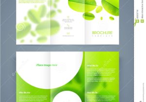 Tri Fold Brochure Template Pages Save Ecology Brochure Template or Flyer Design Stock