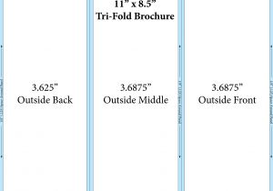 Trifolds Templates 13 Best Photos Of Indesign Tri Fold Brochure Size Free