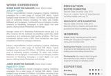 Truly Free Resume Templates Really Free Resume Templates Resume Resume Examples