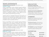 Truly Free Resume Templates Really Free Resume Templates Resume Resume Examples