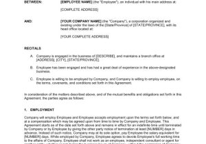 Turnkey Contract Template Employment Agreement Key Employee Template Word Pdf