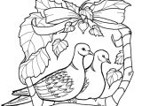 Turtle Dove Template 9900 Best Embroidery Patterns Images On Pinterest