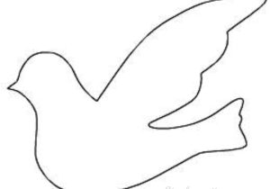 Turtle Dove Template Dove Drawing Outline at Getdrawings Com Free for