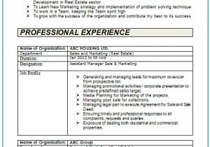 Two Years Experience Resume Sample Over 10000 Cv and Resume Samples with Free Download 2