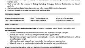 Two Years Experience Resume Sample Sales and Marketing Resume Sample for 2 Years Experience