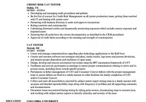 Uat Tester Resume Sample Uat Tester Resume Samples Velvet Jobs