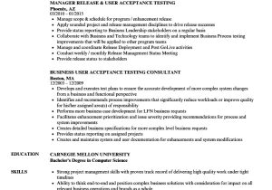 Uat Tester Resume Sample User Acceptance Testing Resume Samples Velvet Jobs