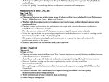 Uft Sample Resume Analyst Test Resume Samples Velvet Jobs