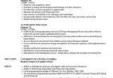 Uft Sample Resume Automation Resume Samples