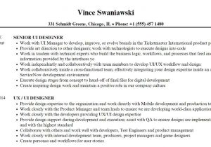 Ui Designer Resume Sample 17 Best Free Ui Designer Resume Samples and Templates