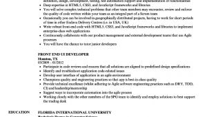 Ui Developer Sample Resume Front End Ui Developer Resume Samples Velvet Jobs
