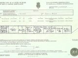 Uk Death Certificate Template Template Uk Death Certificate Template
