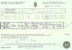 Uk Death Certificate Template Template Uk Death Certificate Template