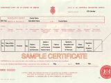 Uk Death Certificate Template Uk Birth Marriage and Death Certificates