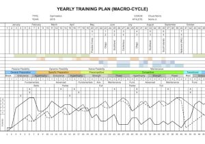 Undulating Periodization Template Periodisation An Overview Acrobatic Arts
