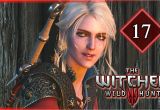 Unique Card From Baron Witcher 3 Witcher 3 A O Geralt Wins the Baron S Unique Gwent Card and Ciri Wins A Race Against Him 17