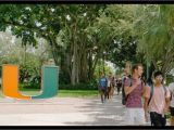University Of Miami Easy Card University Of Miami Niche