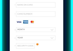 Us Border Crossing Card Number Payment Methods Accept Key Methods Of Payment 2020 Adyen