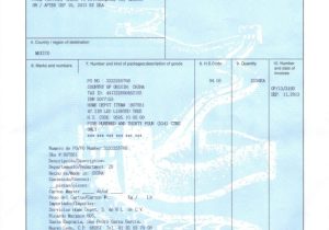 Us israel Certificate Of origin Template China Certificate Of origin What An Importer Should Know