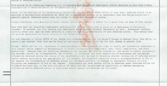 Uscis Background Check for Green Card Deferred Action for Childhood Arrivals Wikipedia